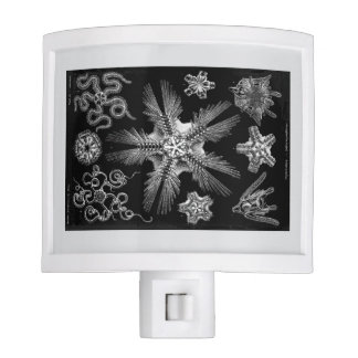 Veilleuse Heckle 1889 Science Blanc sur Noir