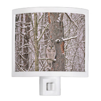 Veilleuse Hibou dans la neige