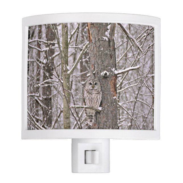 Veilleuse Hibou dans la neige (Devant)