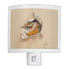 Roitelet de Caroline léger de nuit par Camille