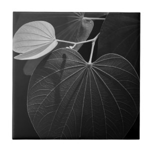 Veins of a Leaf Tile