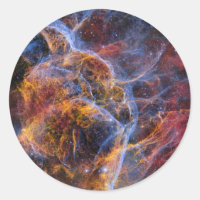 Vela Supernova Remnant