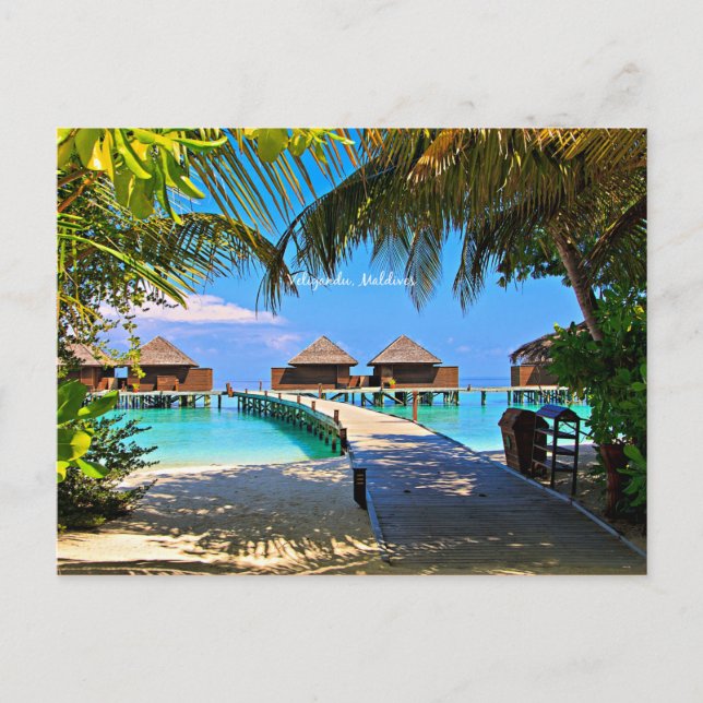 Veligandu, Maldives tropical scene Postcard (Front)