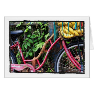 Vélo de Kali