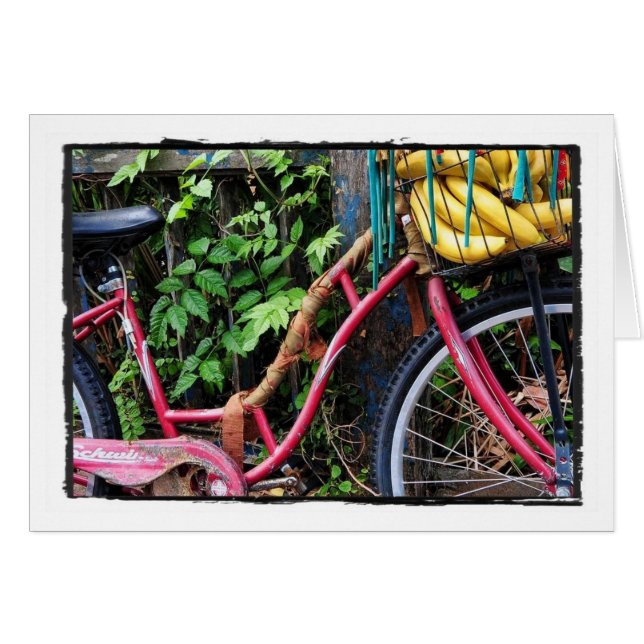 Vélo de Kali (Devant horizontal)