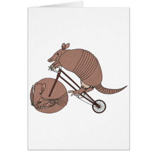Vélo d'équitation de tatou avec la roue de tatou