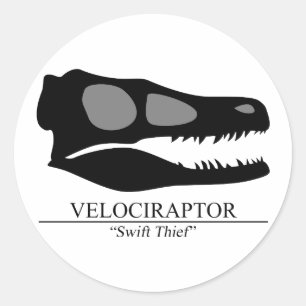 Velociraptor Skull Classic Round Sticker