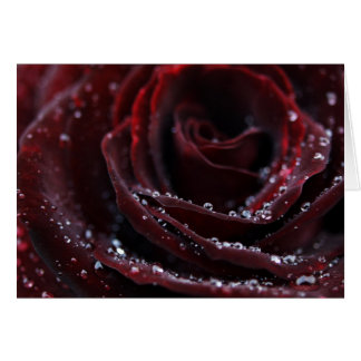 Velours rouge