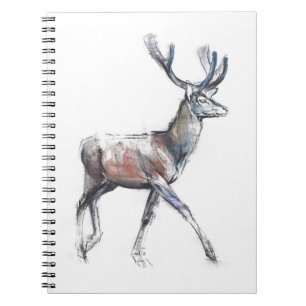 Velvet 2006 notebook