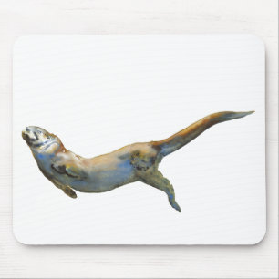 Velvet 2014 mouse pad