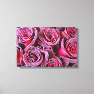 Velvet Beauty Canvas Print