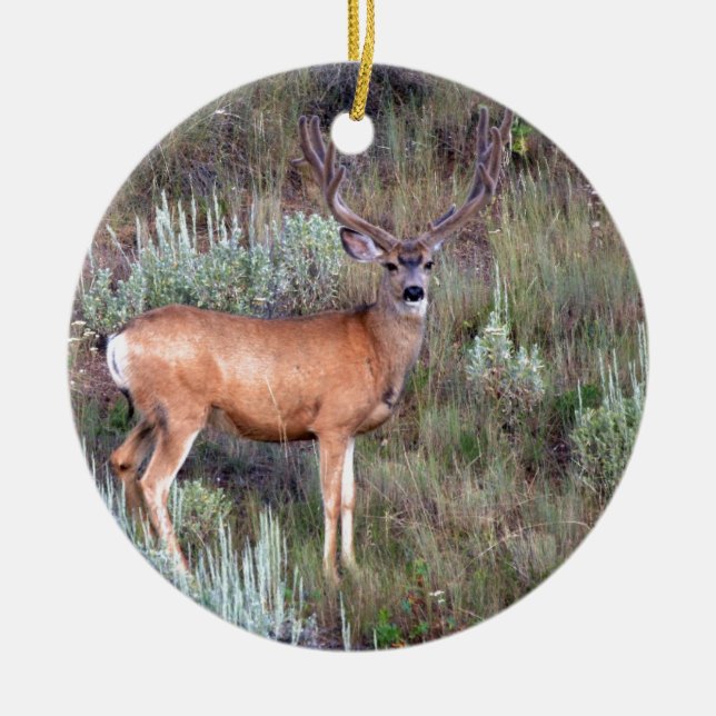 Velvet buck ceramic ornament (Front)