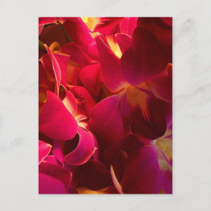 Velvet Postcard