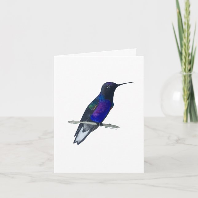 Velvet-purple Coronet Hummingbird Card (Front)