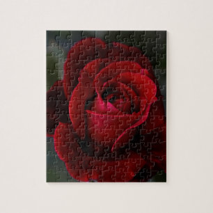 Velvet Red Rose of Romance Jigsaw Puzzle
