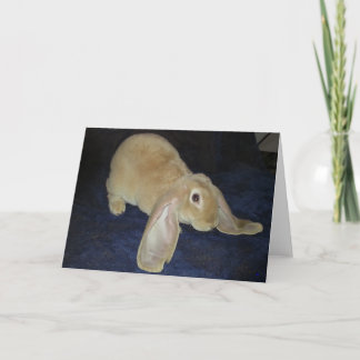 Velveteen Lop Note Card