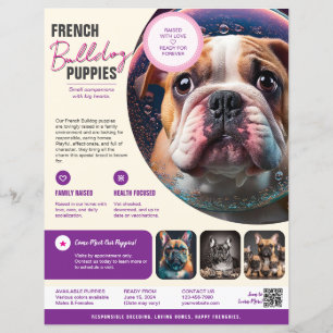 Vendre des chiots Flyer