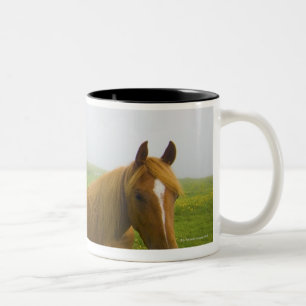 veneto italy 2 Two-Tone coffee mug