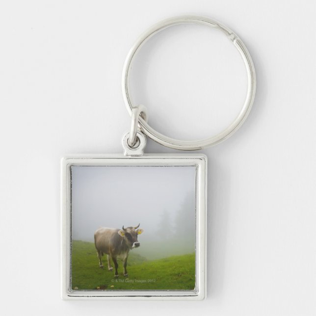 veneto italy keychain (Front)