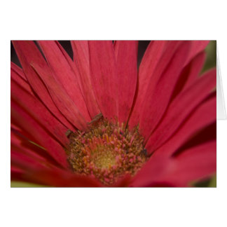 Venez à votre carte Senses