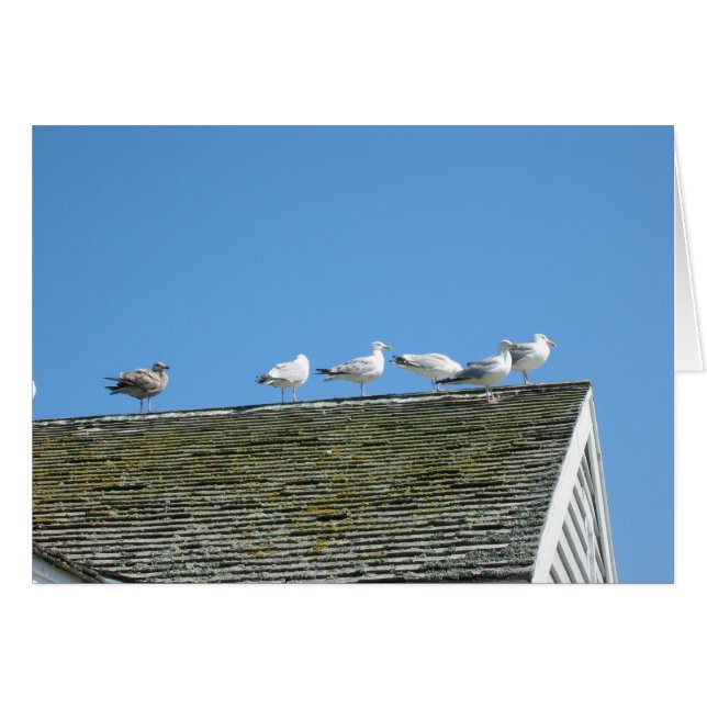 Venez ensemble (Devant Horizontal)