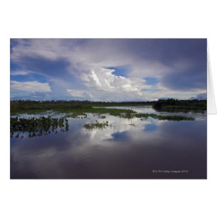 Venezuela, Delta Amacuro, Orinoco Delta