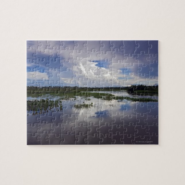 Venezuela, Delta Amacuro, Orinoco Delta Jigsaw Puzzle (Horizontal)