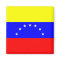 Venezuela Flag Magnet