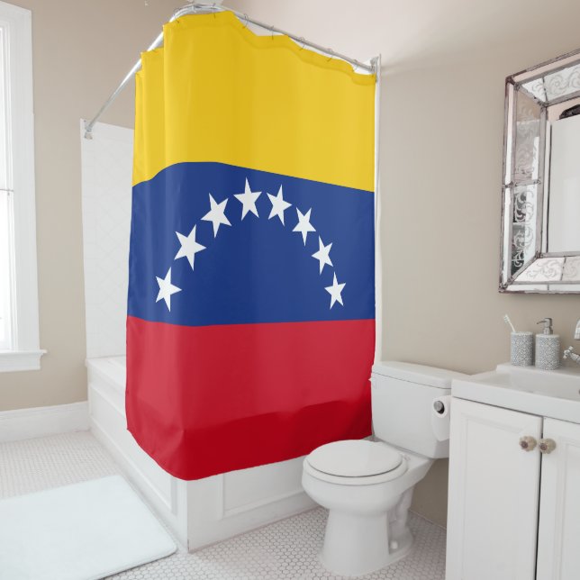 Venezuela flag patriotic Venezuelans (In Situ)