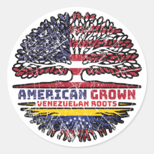 Venezuela Venezuelan US American USA United States Classic Round Sticker