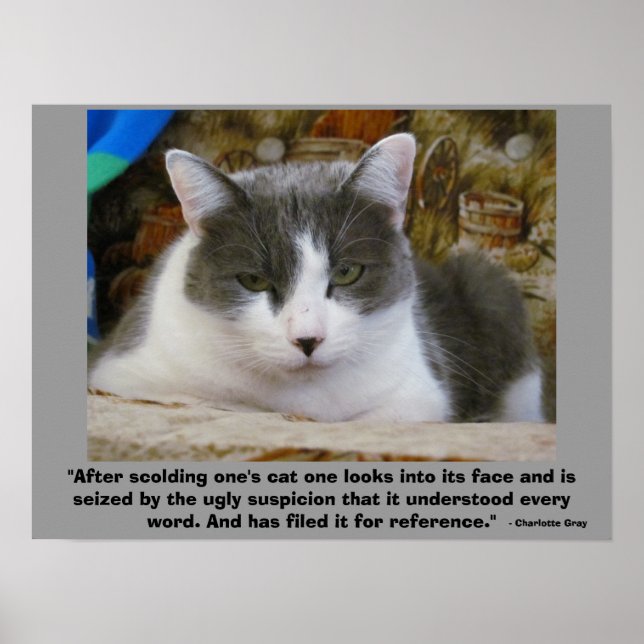 vengeful Grumpy kitty with - Charlotte Grey Quote Poster (Front)