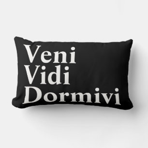 Veni Vidi Dormivi I came I saw I slept Lumbar Pillow