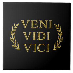 Veni Vidi Vici Funny Game Winner Tile