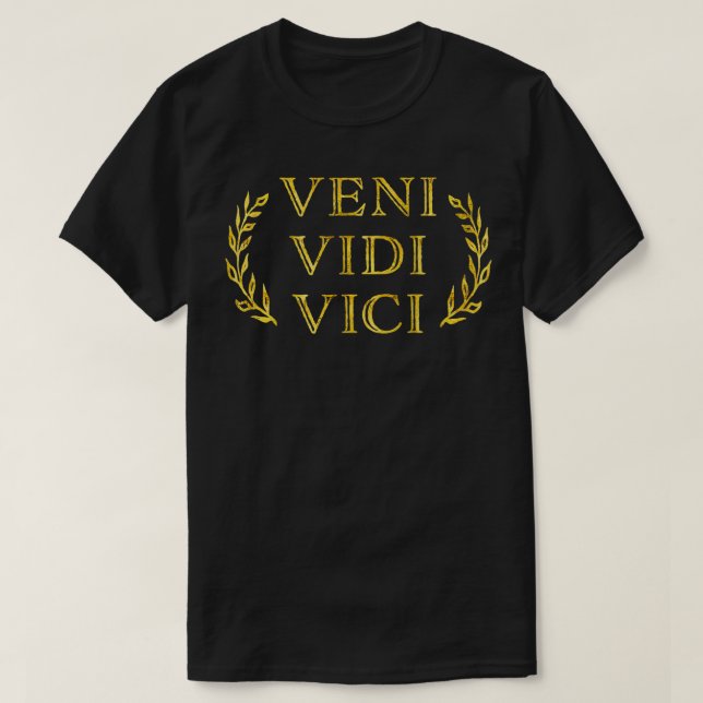 Veni Vidi Vici Funny Vintage  T-Shirt (Design Front)