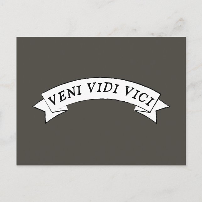 VENI VIDI VICI - I came I saw I conquered Postcard (Front)