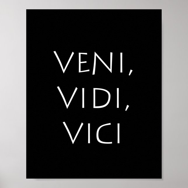 Veni vidi vici poster (Front)