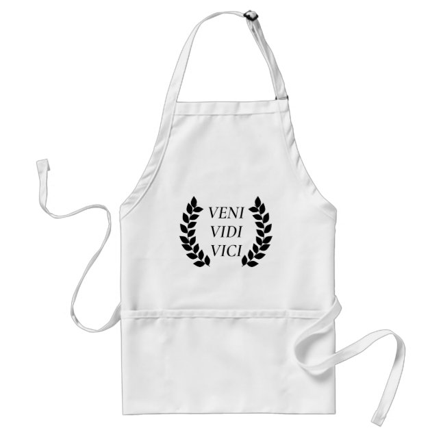 Veni Vidi Vici Standard Apron (Front)