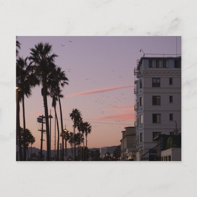 Venice Beach Postcard (Front)