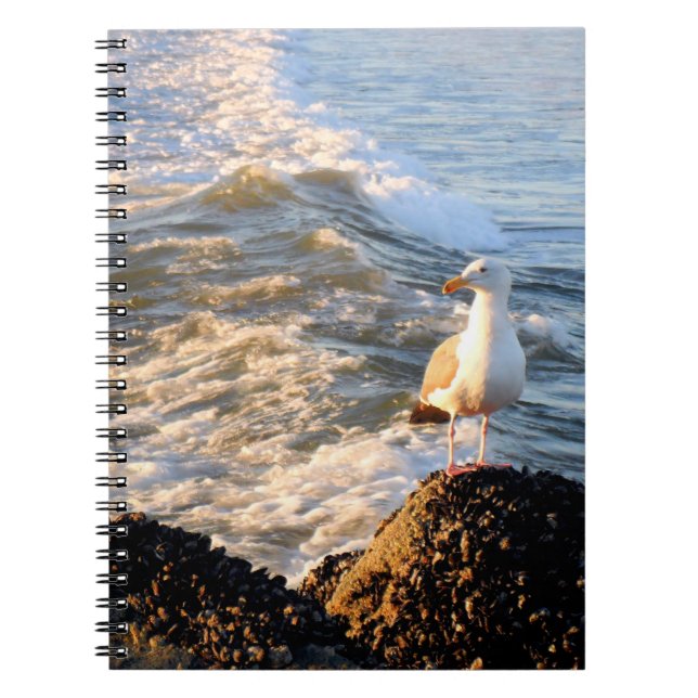 Venice Beach Seagull Notebook (Front)