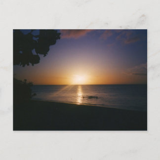 Venice Beach Sunset Postcard