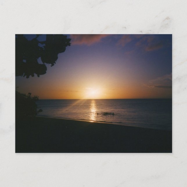 Venice Beach Sunset Postcard (Front)