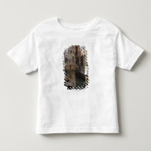 Venice Canals and Stone bridge Toddler T-shirt