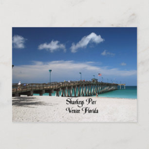 Venice Florida Postcard