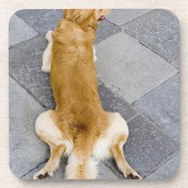 Venice, Italy. Coaster (Front)