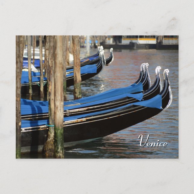 Venice Postcard (Front)