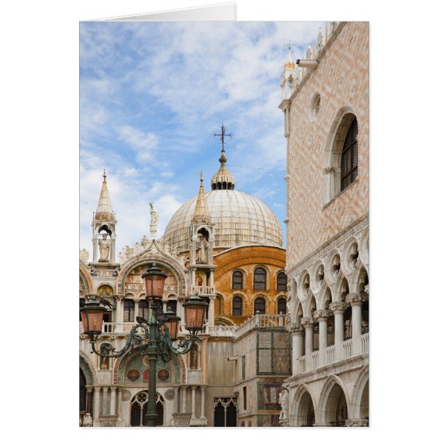 Venice, Veneto, Italy - Birds are perched on a (Front)