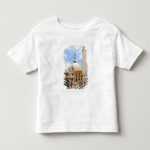 Venice, Veneto, Italy - Birds are perched on a Toddler T-shirt