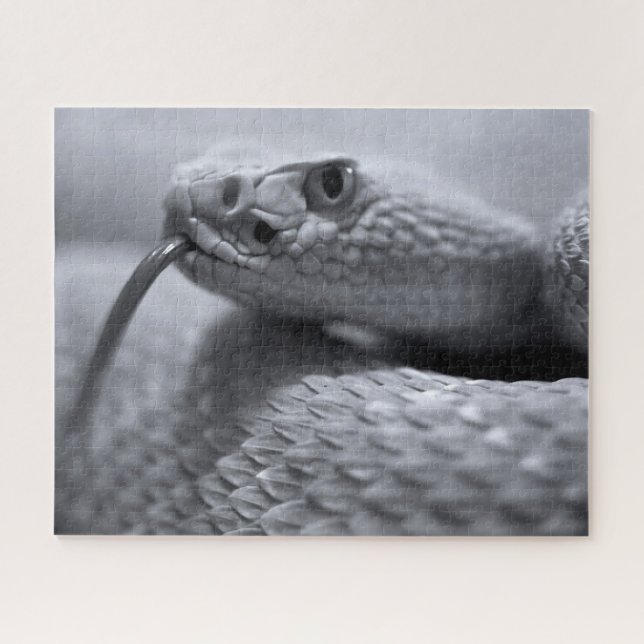 Venomous Rattlesnake in Monochrome, Jigsaw Puzzle (Horizontal)