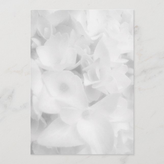 Ventilateur floral blanc papier du programme (Devant)