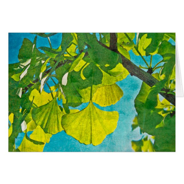 Ventilateurs de rêve (Devant Horizontal)